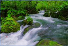 「本阿修羅の流れⅢ」