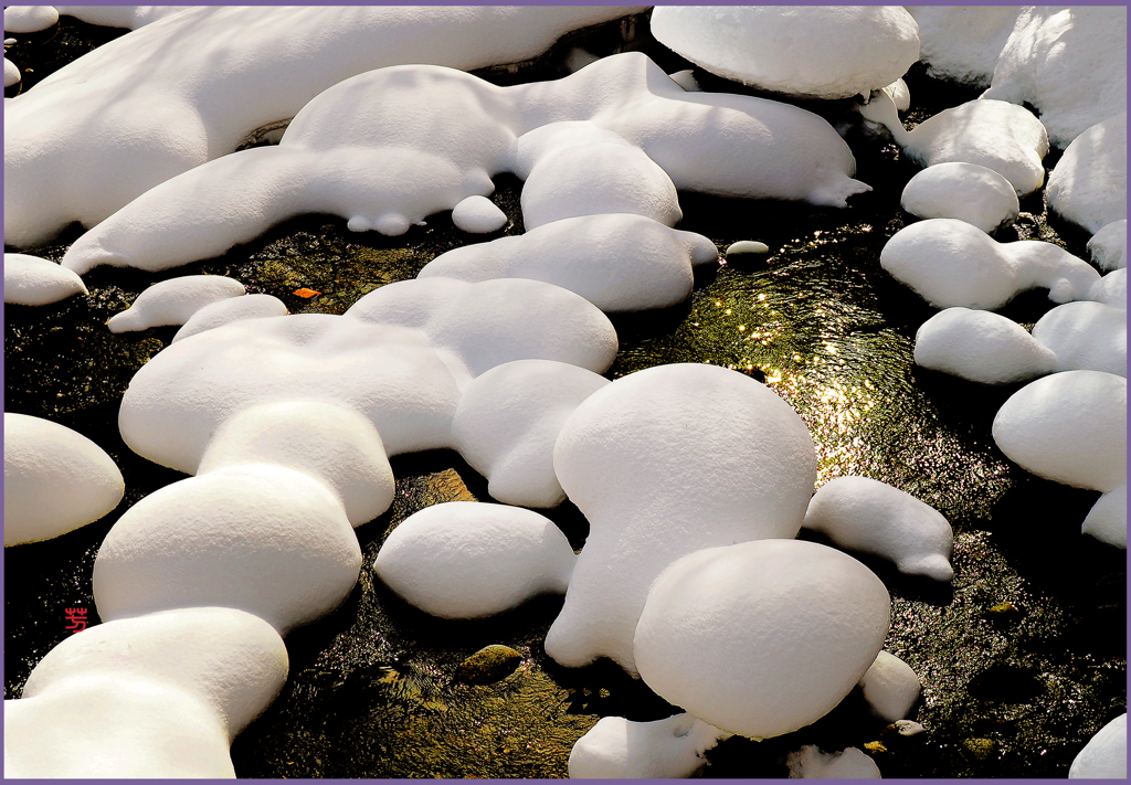 奥入瀬「マッシュルーム」