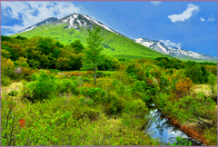 八甲田山.残雪と若葉Ⅵ