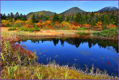 八甲田山「睡蓮沼」