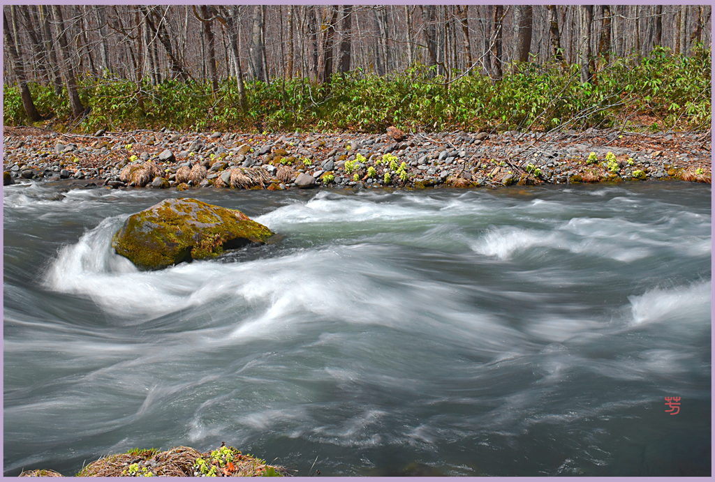 「2019　‐紫明渓-（奥入瀬下流）Ⅲ