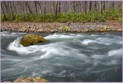 「2019　‐紫明渓-（奥入瀬下流）Ⅲ