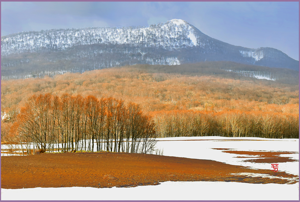 八甲田山「赤土の高原大地Ⅱ」