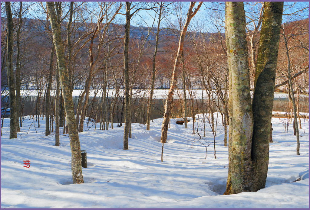 「早春の蔦沼　Ⅲ」