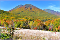 ＠八甲田山.雛岳紅葉1　