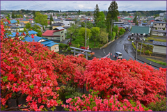 「天王神社周遊坂Ⅱ」