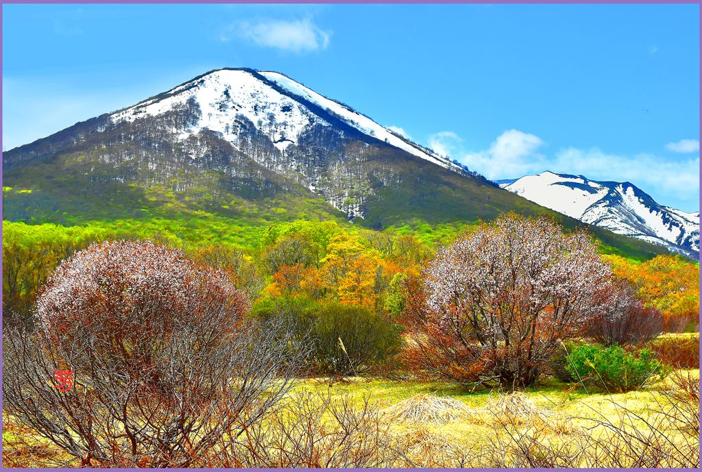 八甲田山.春紅葉　Ⅳ