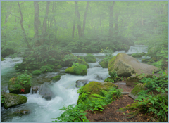 「霧の上阿修羅の流れⅡ」