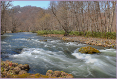 「2019　-紫明渓-（奥入瀬下流）Ⅰ