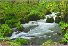 本阿修羅の流れ.秋めく