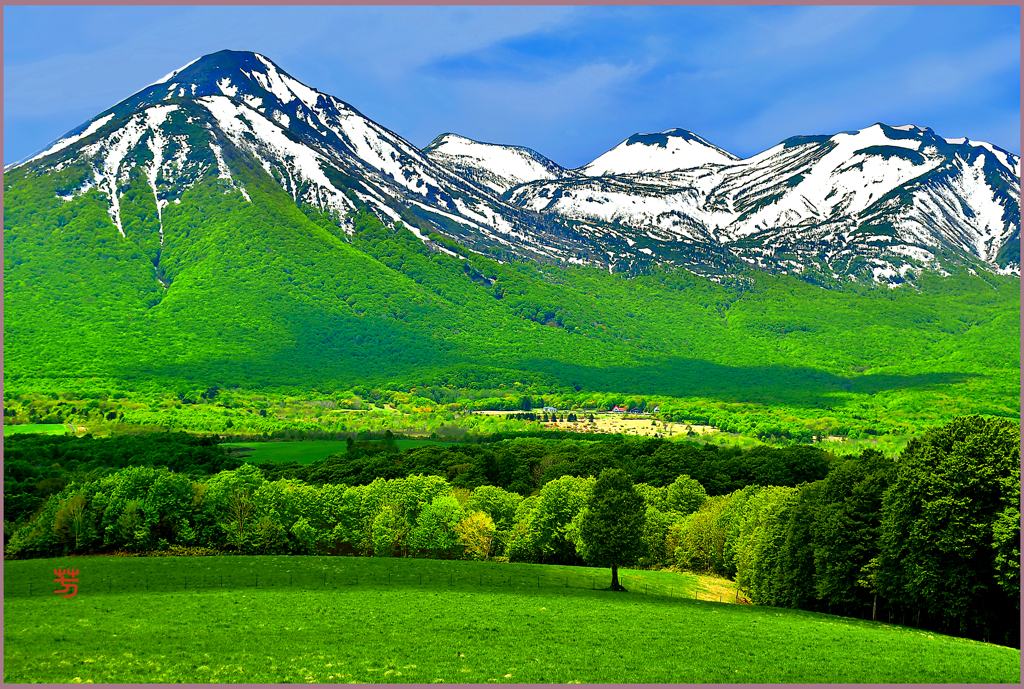 八甲田山　輝く田代平高原