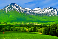 八甲田山　輝く田代平高原