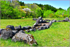 「ストーンサークルの遅桜」