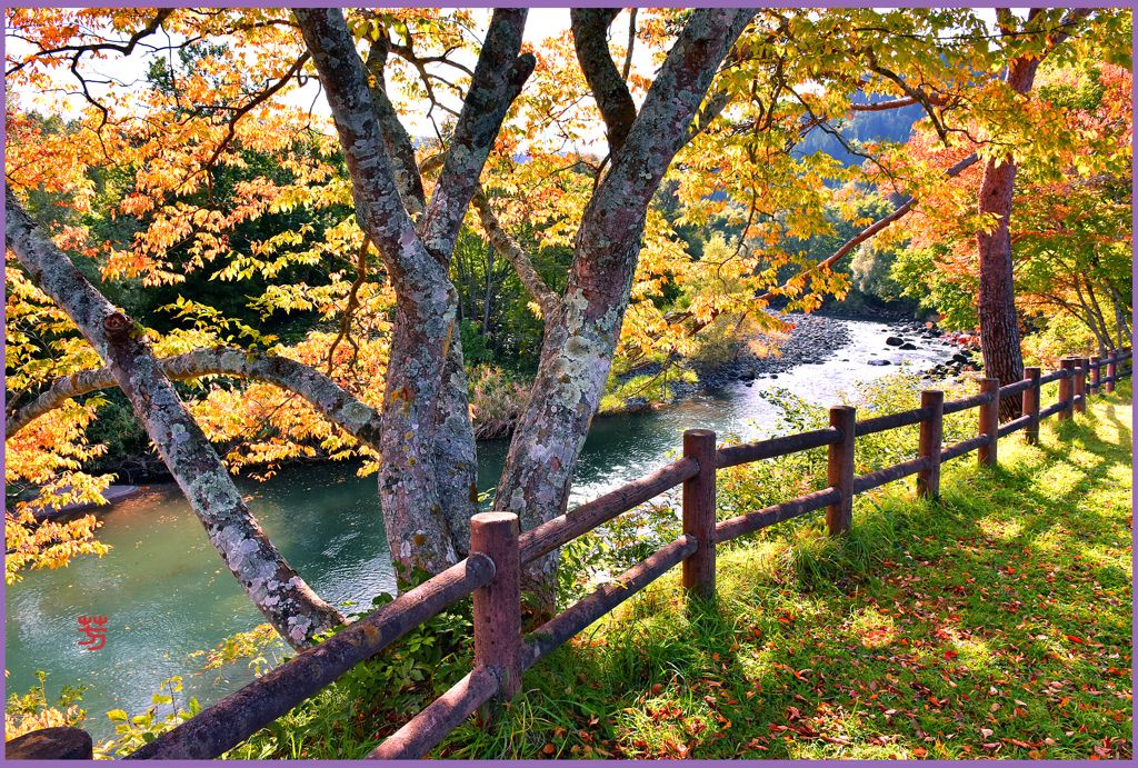 奥入瀬渓流「紅葉.縁日