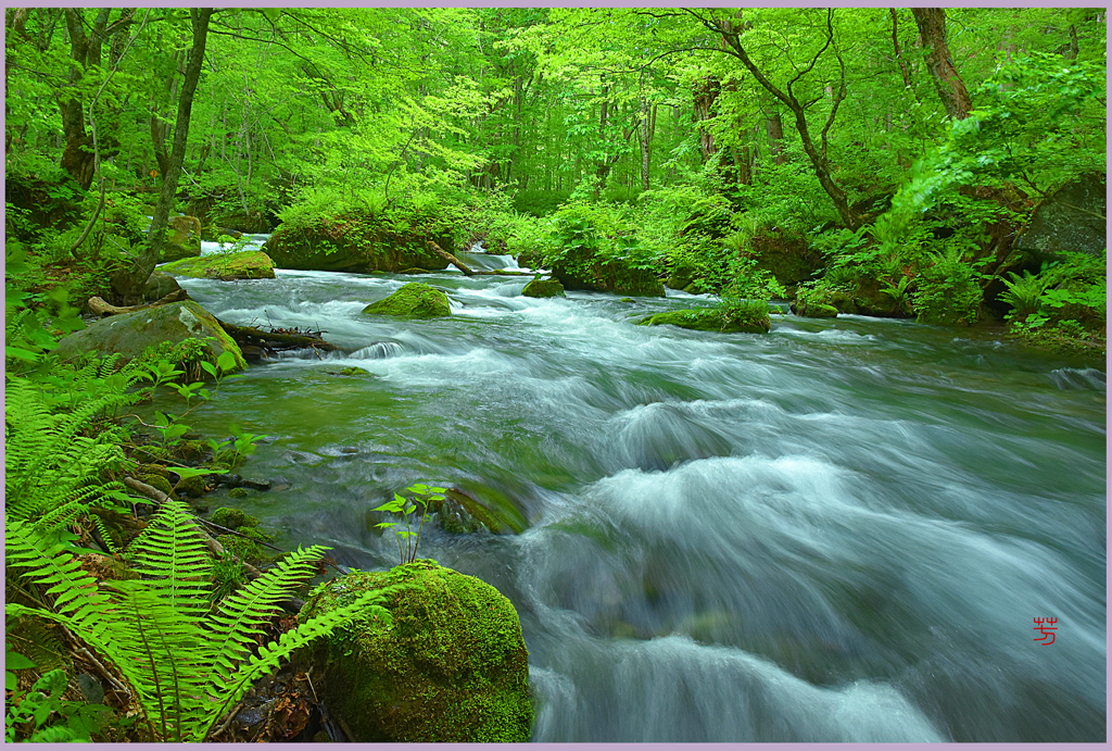 奥入瀬「万緑の奥瀬」