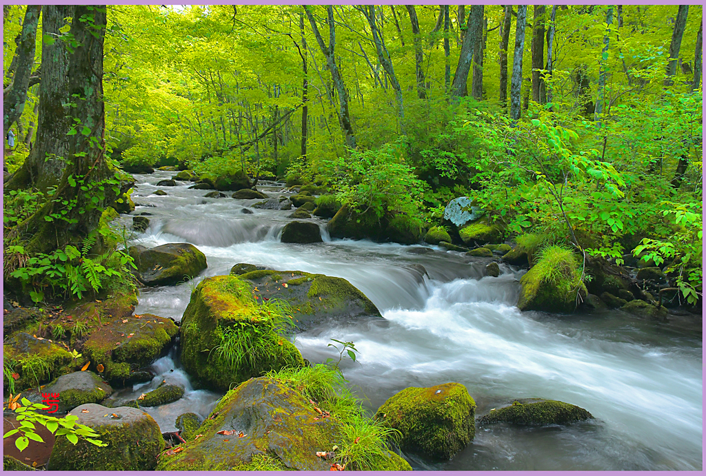 奥入瀬　秋の気配