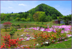 「旧姨捨山 7」
