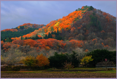 「旧.婆古山」