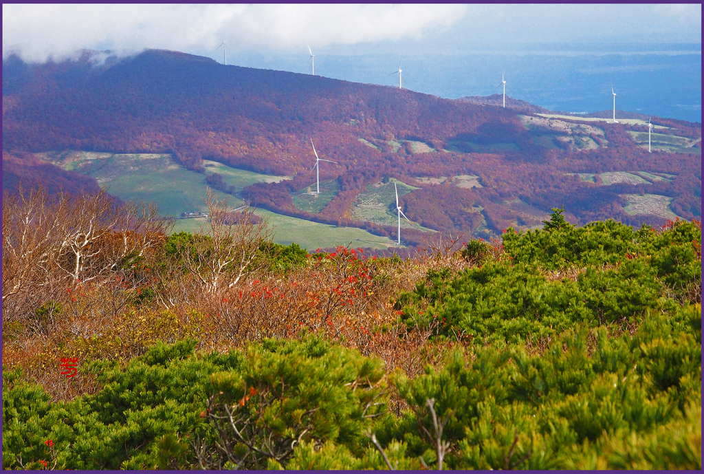 「風力発電プロペラ」11
