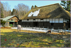 「2019　まきば茅葺 Ⅰ」