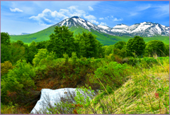 「残雪と若葉　Ⅸ」