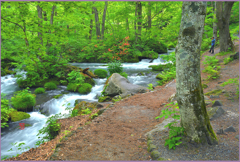 山ツツジ咲く上阿修羅　3