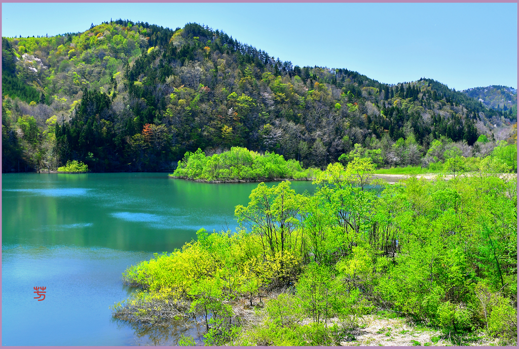 「新緑のワンダーランド」