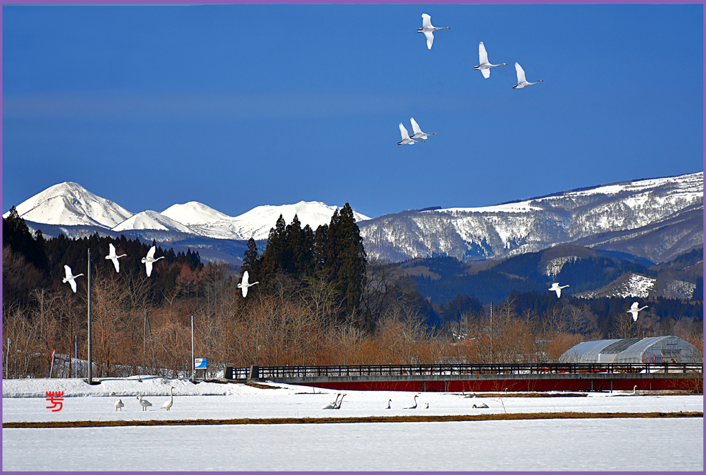 北帰試飛行　Ⅷ