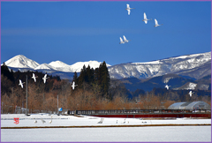 北帰試飛行　Ⅷ