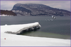 十和田湖.小倉半島　