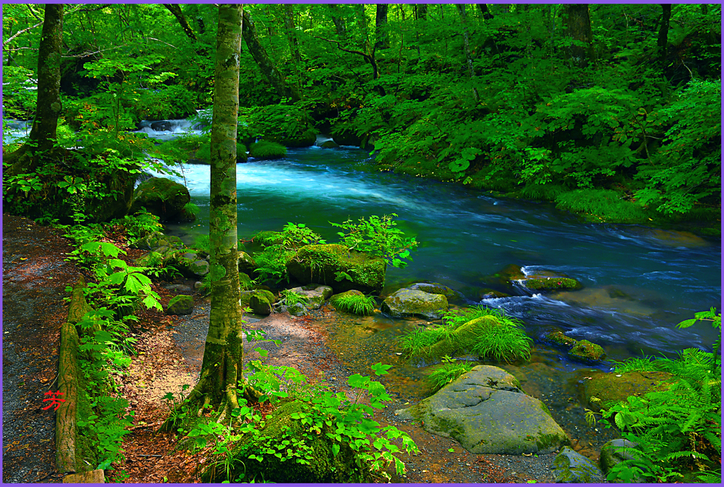 万緑の奥瀬　Ⅲ