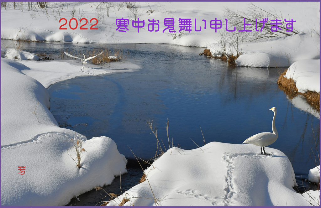 「白鳥の小川」