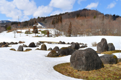 サークルストーンの春