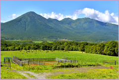 八甲田山、秋めく(高原牧場）