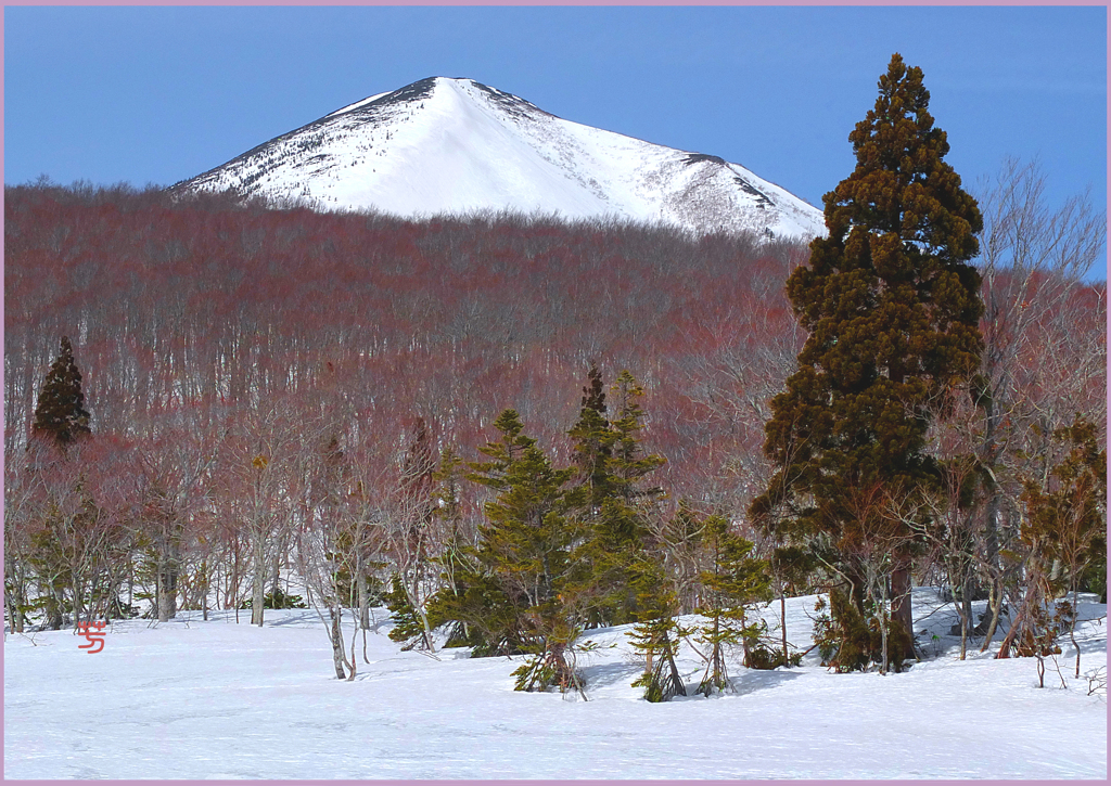 高田大岳 「春化粧」　