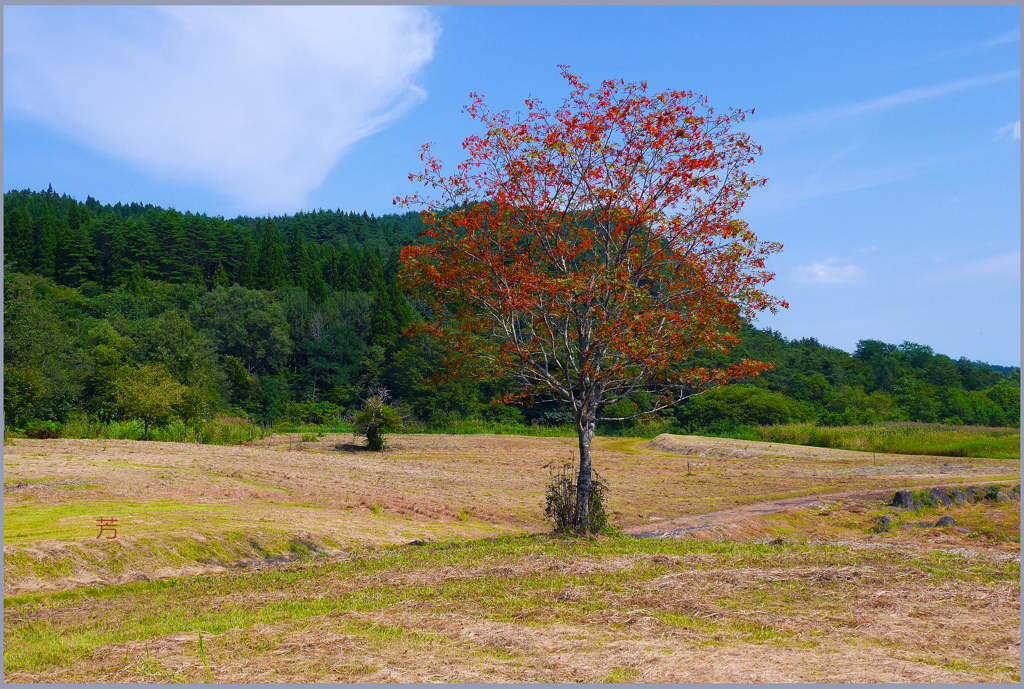 　北東北寸景「小秋Ⅱ」