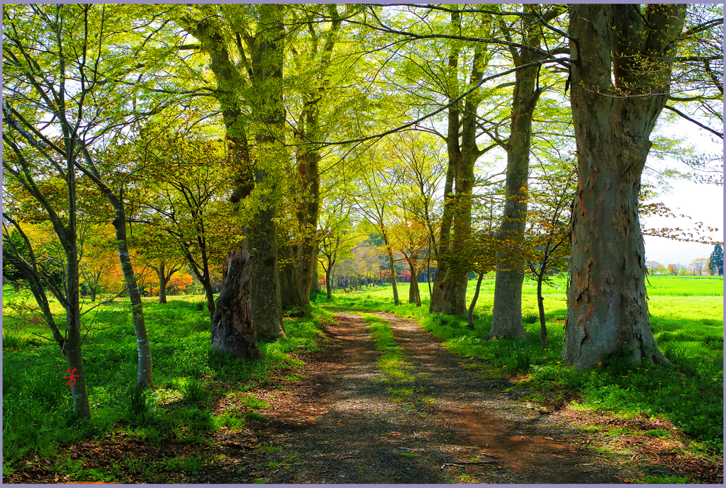 「まきば萌ゆるⅣ」