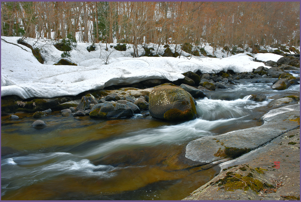 残雪の蔦渓流