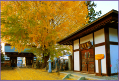 「朝暘の青岩寺」