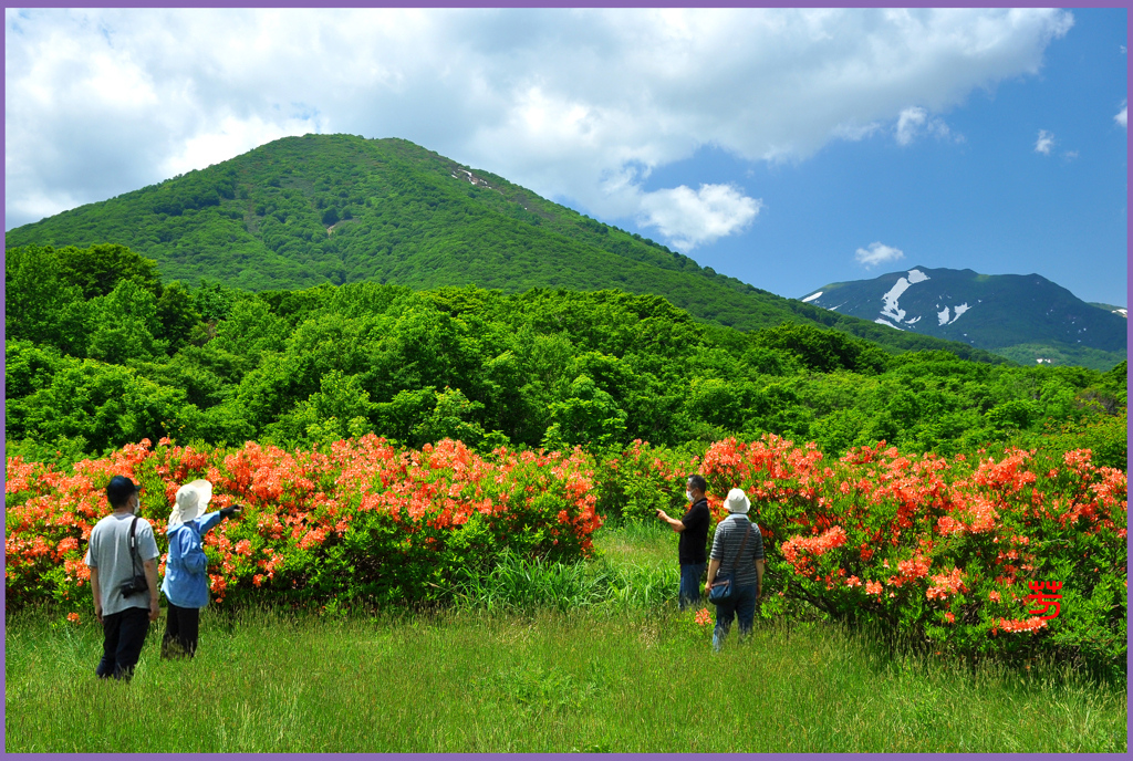 雛岳.花日和　Ⅲ