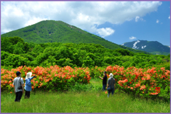 雛岳.花日和　Ⅲ