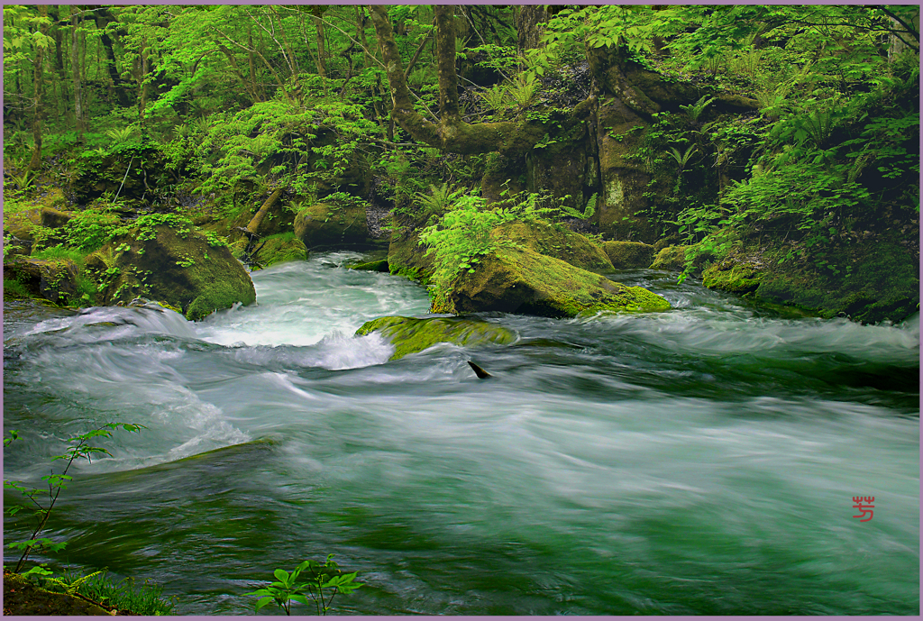 奥入瀬「水魂.本阿修羅の流れ」