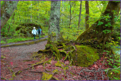 「秋めく遊歩道」