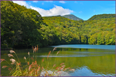 「澄む空.秋気配」