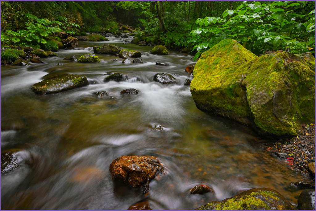 「奥入瀬支流」
