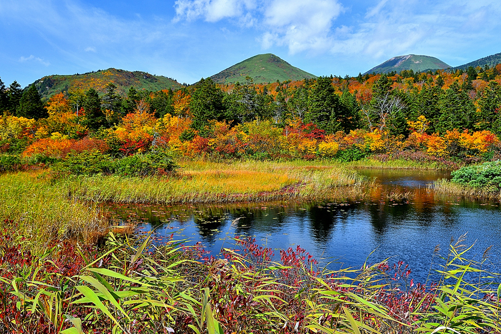 八甲田山「睡蓮沼紅葉　Ⅲ」
