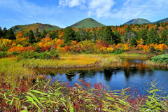 八甲田山「睡蓮沼紅葉　Ⅲ」