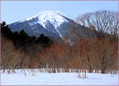 八甲田山.雛岳「春化粧Ⅱ」