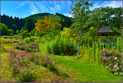 「東八甲田ローズカントリー」6