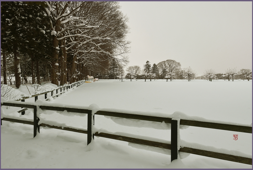 「まきばの夜明け」